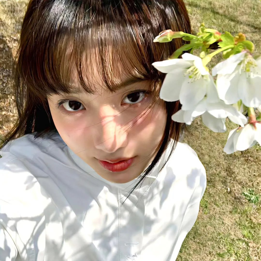 黑森灵 封面