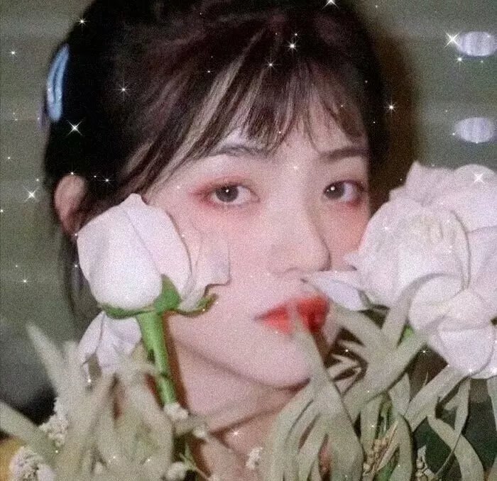 小个子 封面
